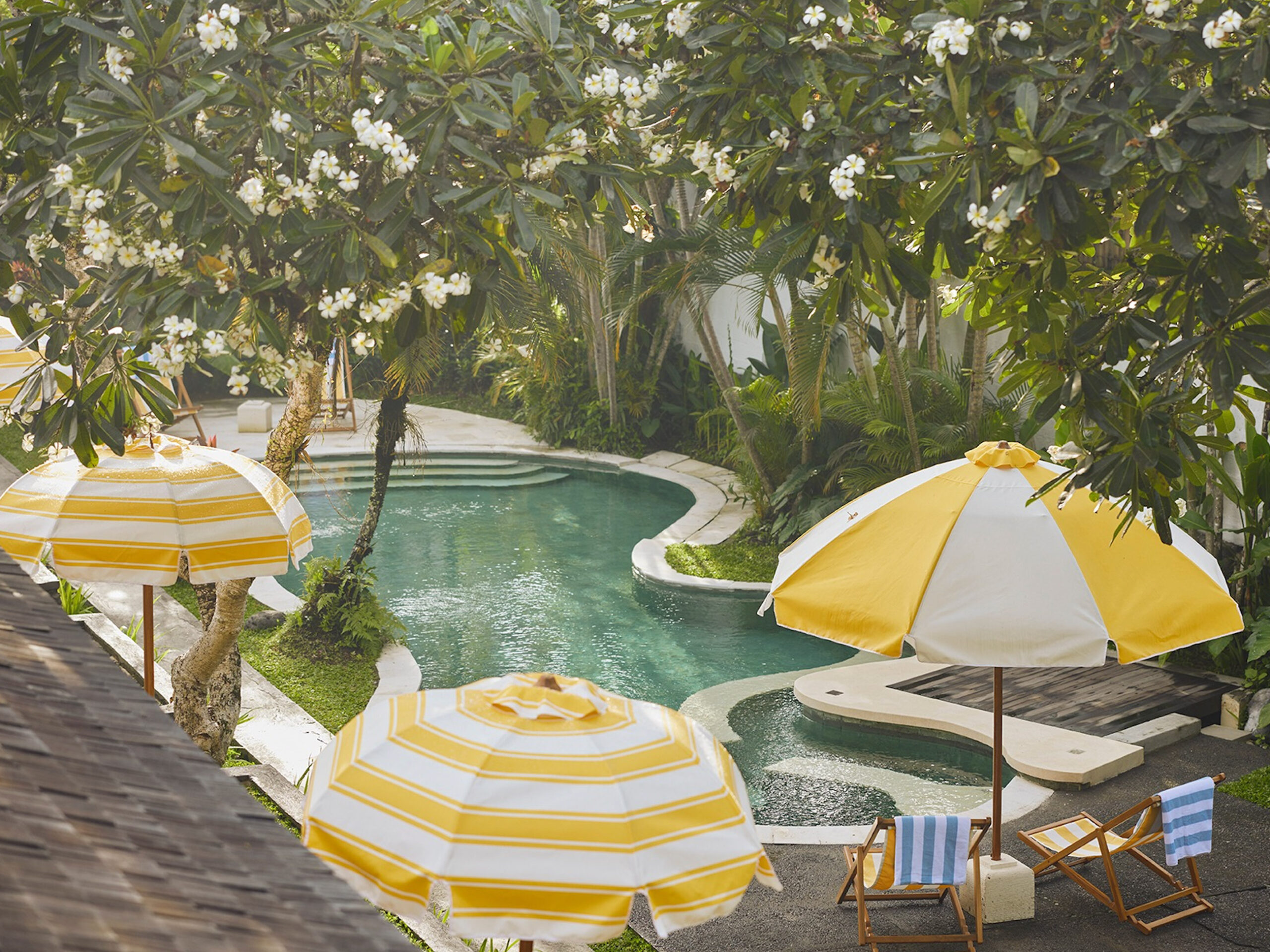 a pool by the garden at Shelter Island in Ubud