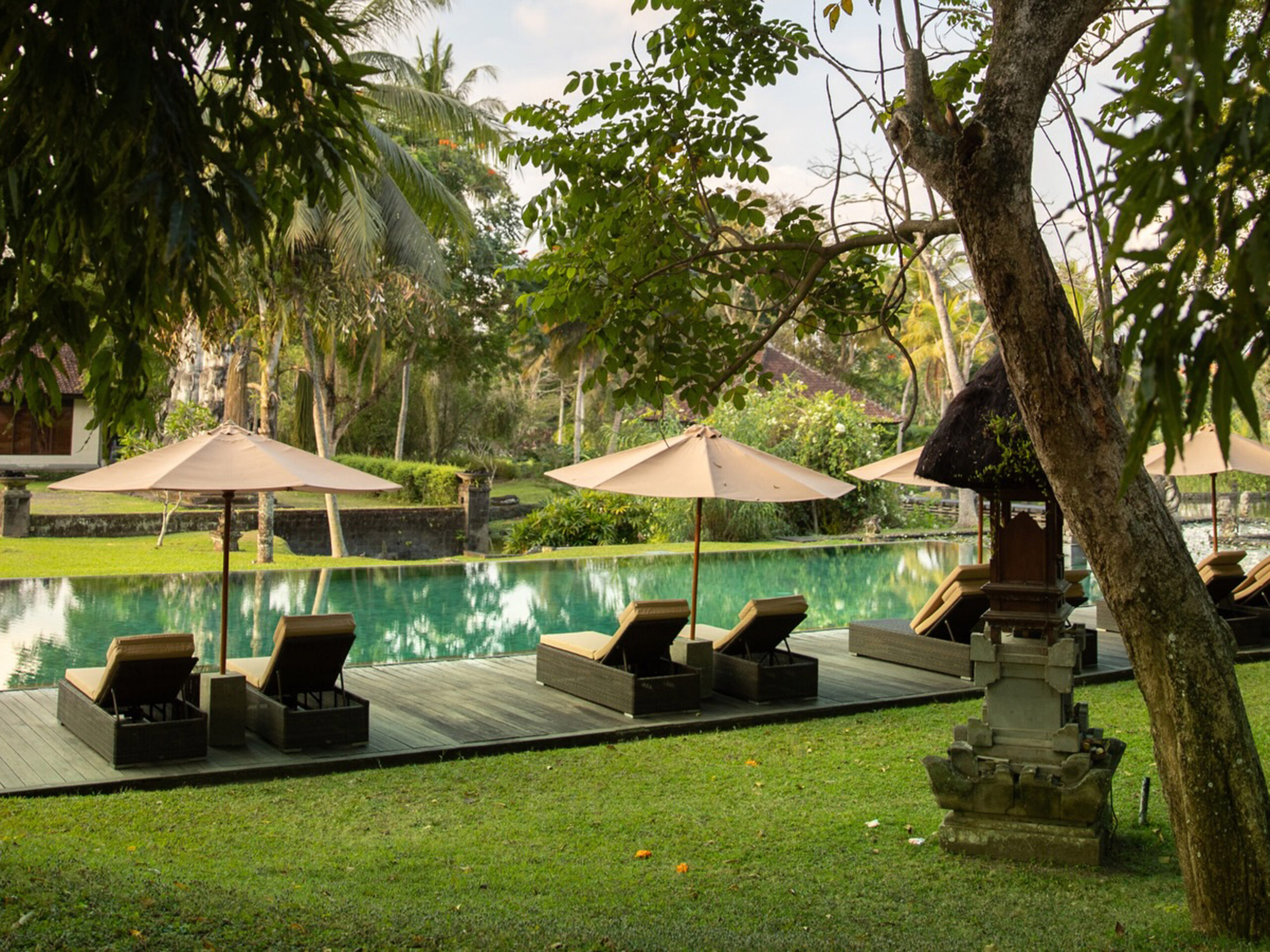 the pool at Tanah Gajah in Ubud