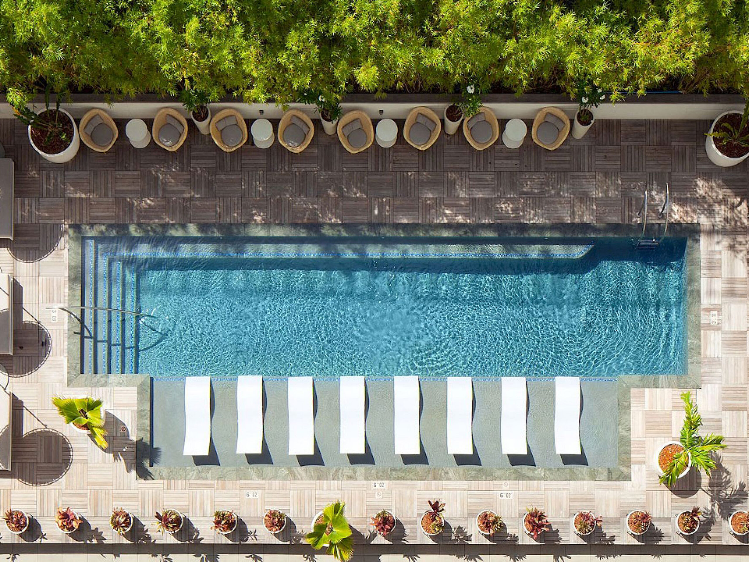 the pool at The Laylow Waikīkī