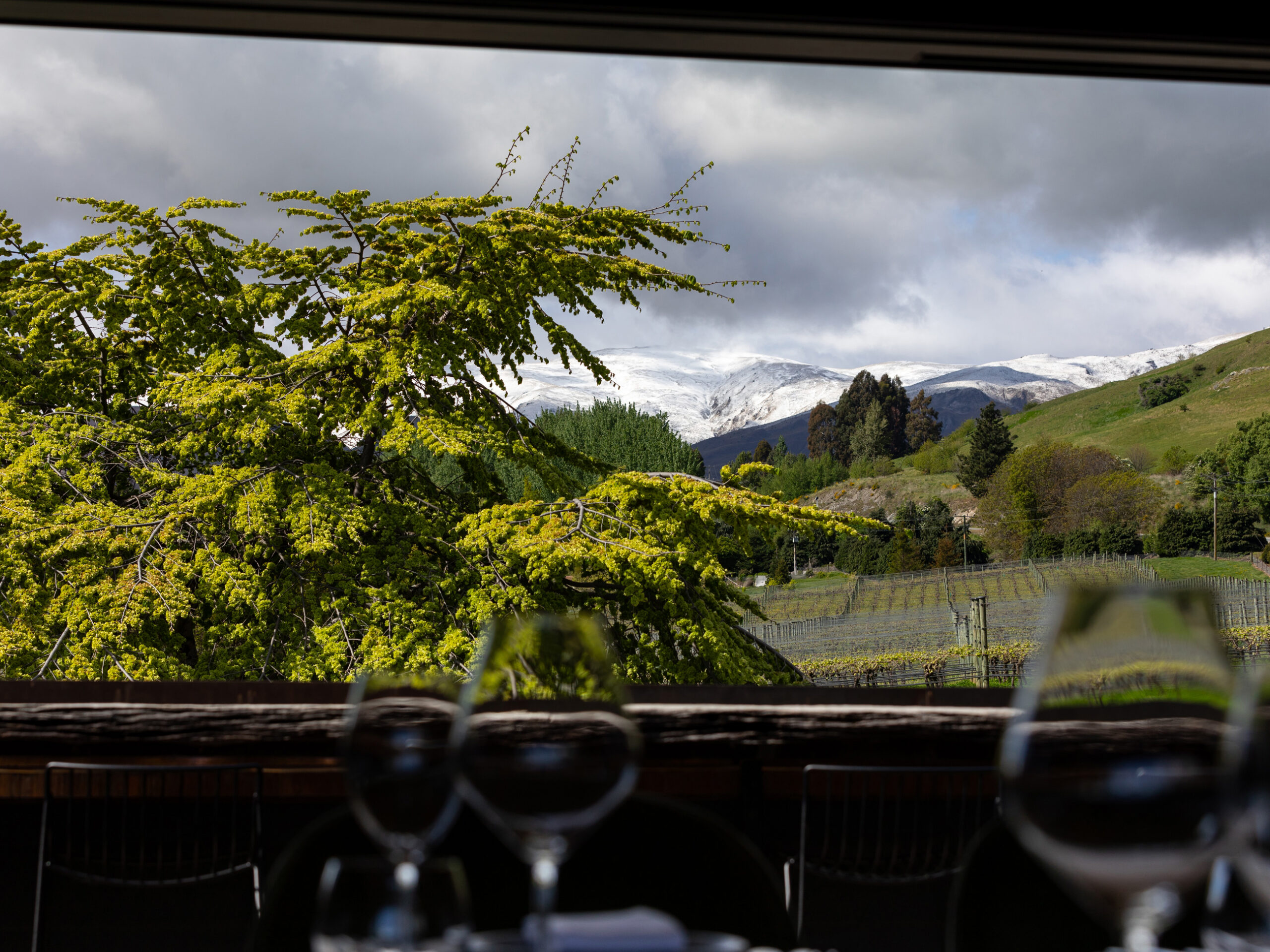 Amisfield Restaurant and Cellar Door in Queenstown, New Zealand