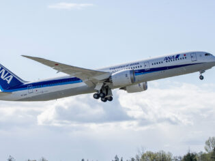 ANA aircraft flying