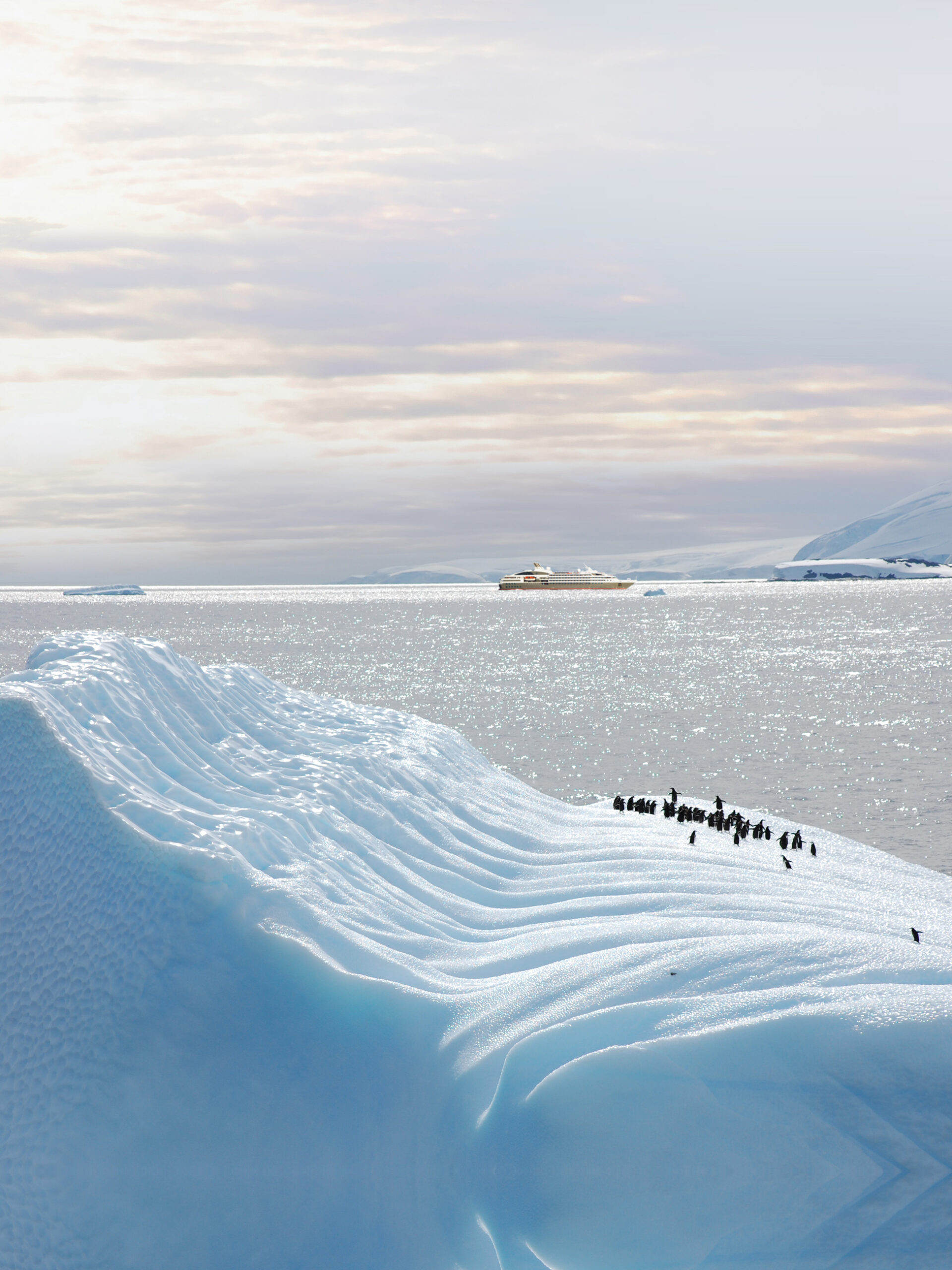 Arctic and Antarctica tour with Abercrombie & Kent’s Antarctica