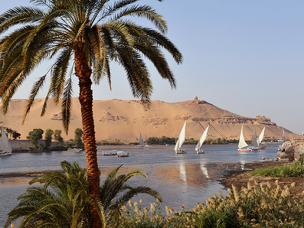 Felucca sailing boats sailing on the River Nile at Aswan, Egypt.