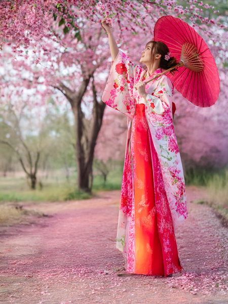 Cherry blossoms in Japan
