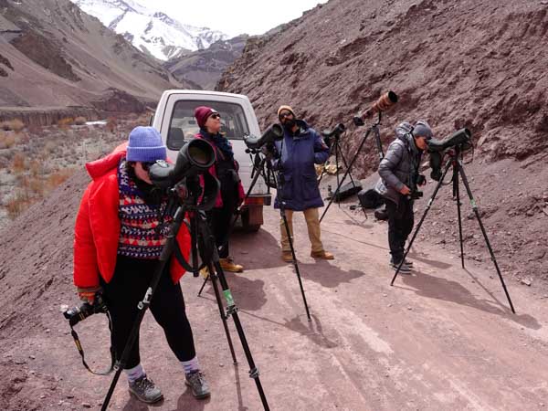 travellers on adventure world's Snow Leopards of Ladakh itinerary