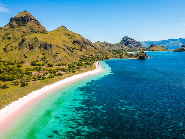 pink beach padar island labuan bajo