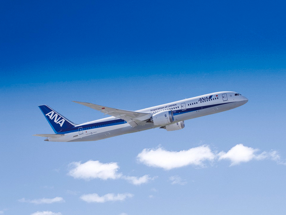 Nippon Aircraft in sky