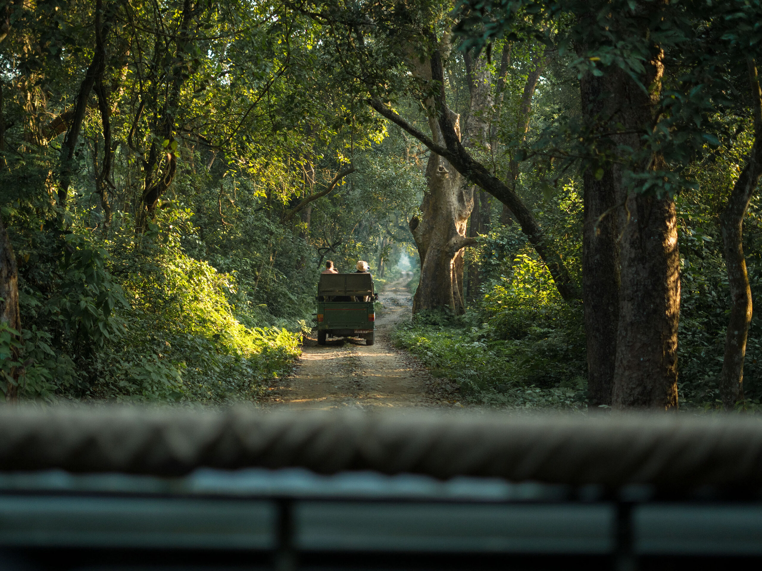 safari through Bardiya National Park