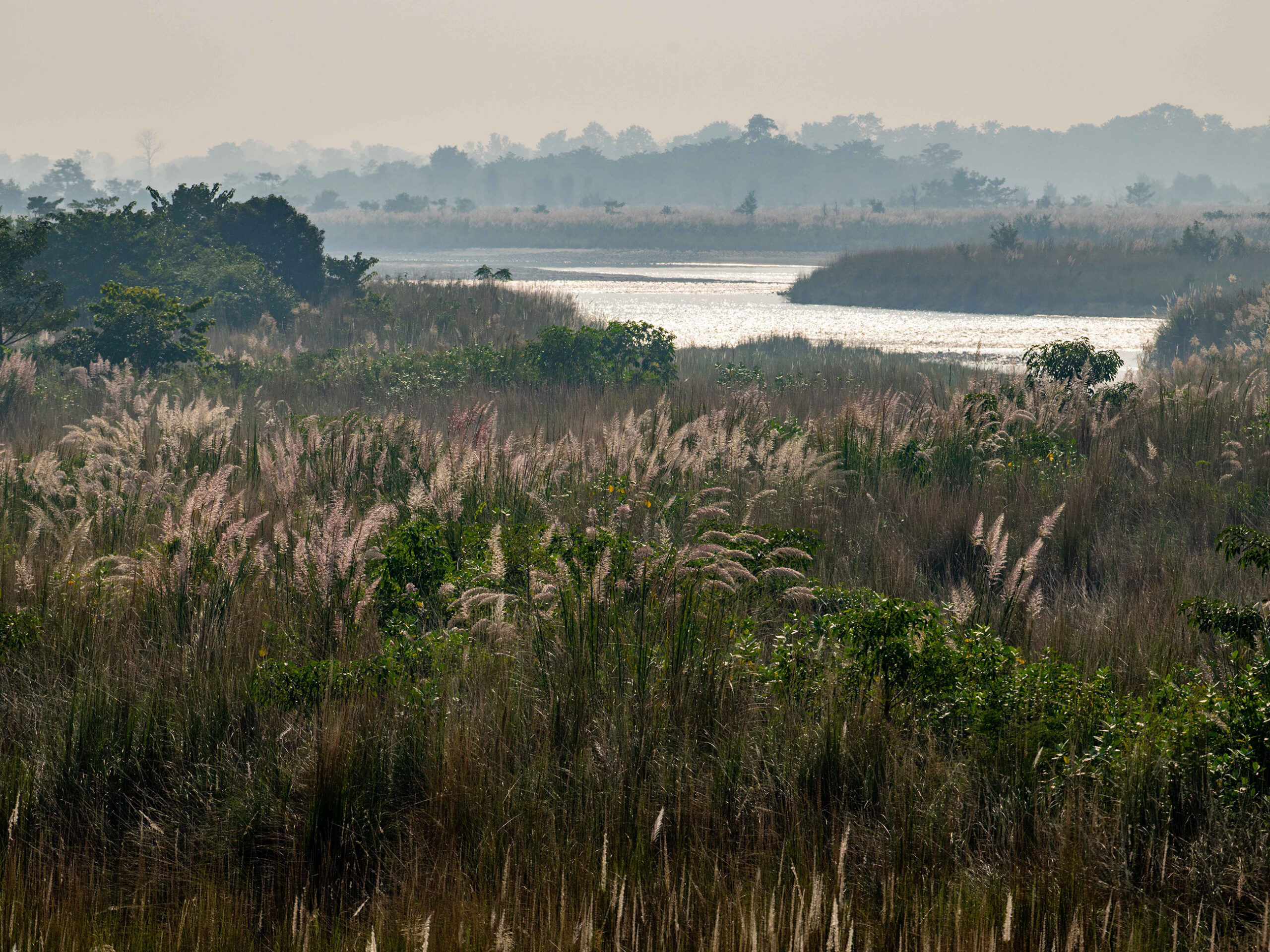 Bardiya National Park 